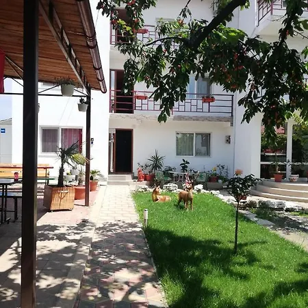 Casa Flory&crystiana Pensión