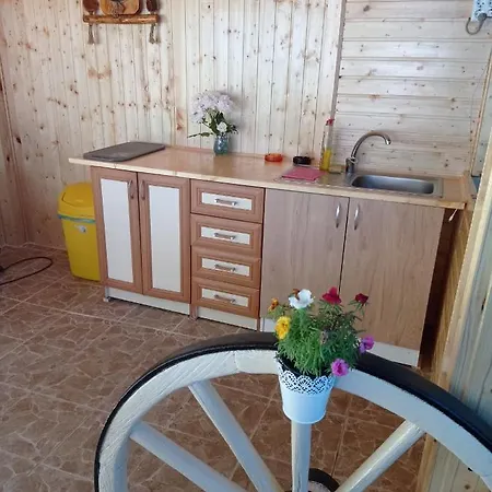 Casa Flory & Crystiana 2* Costinesti