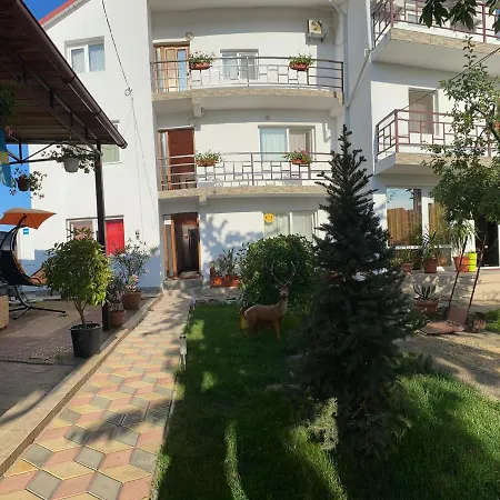 Guest house Casa Flory & Crystiana 2*