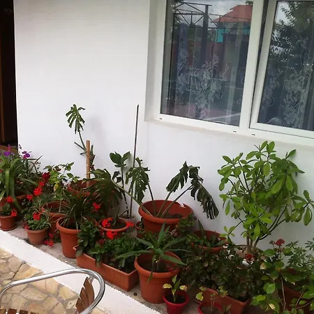 Pensión Casa Flory&crystiana Costinesti